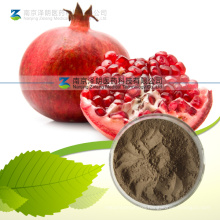 Natural Pomegranate Rind Extract Ellagic Acid 95%